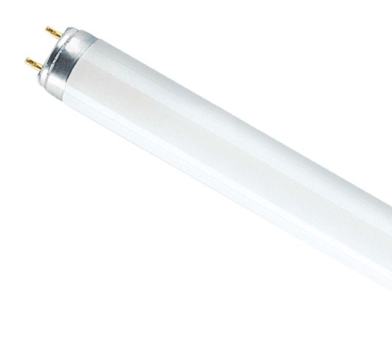 Лампа люминесцентная L 18W/765 G13 дневного цв. OSRAM смол. 4008321959669/4052899209084